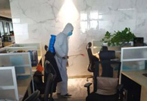 白沙縣建成區2021年4月6日病媒生物防制工作匯報